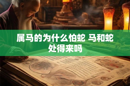 属马的为什么怕蛇 马和蛇处得来吗