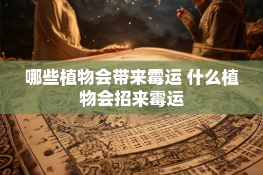 哪些植物会带来霉运 什么植物会招来霉运