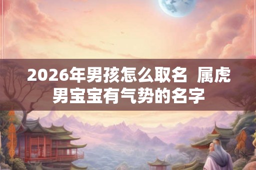 2026年男孩怎么取名  属虎男宝宝有气势的名字
