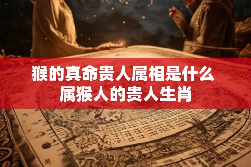 猴的真命贵人属相是什么 属猴人的贵人生肖