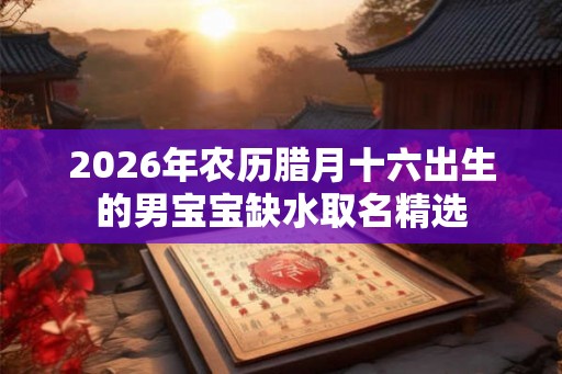 2026年农历腊月十六出生的男宝宝缺水取名精选