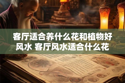 客厅适合养什么花和植物好风水 客厅风水适合什么花植物
