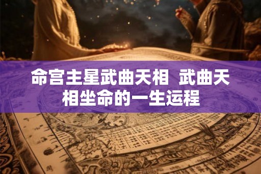 命宫主星武曲天相  武曲天相坐命的一生运程