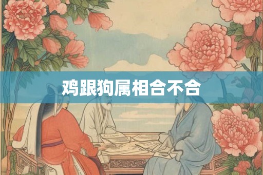 鸡跟狗属相合不合