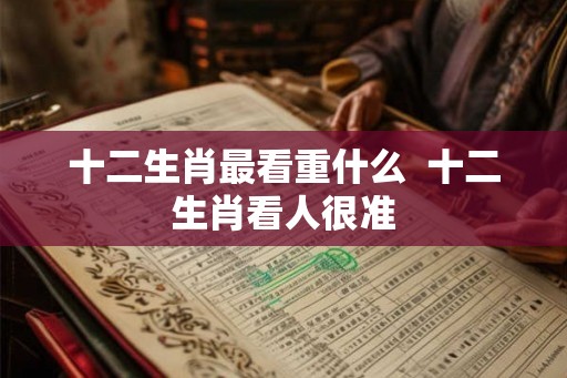 十二生肖最看重什么  十二生肖看人很准