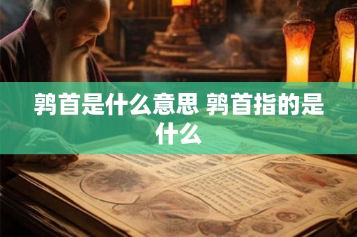 鹑首是什么意思 鹑首指的是什么