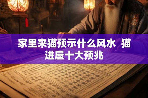 家里来猫预示什么风水  猫进屋十大预兆