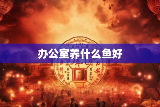 办公室养什么鱼好