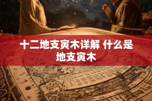 十二地支寅木详解 什么是地支寅木