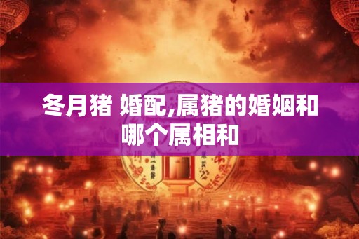 冬月猪 婚配,属猪的婚姻和哪个属相和