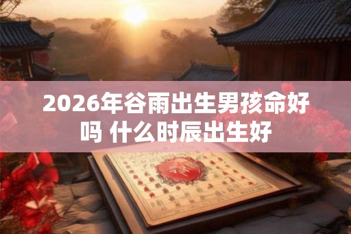 2026年谷雨出生男孩命好吗 什么时辰出生好