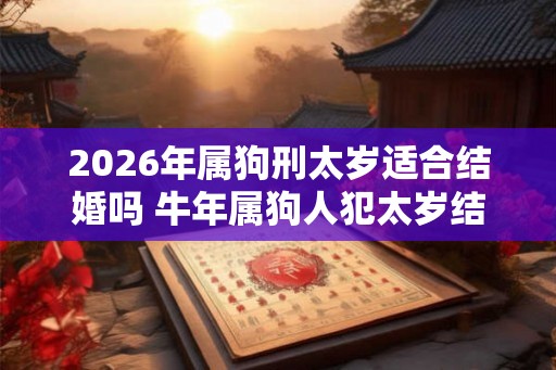 2026年属狗刑太岁适合结婚吗 牛年属狗人犯太岁结婚好不好