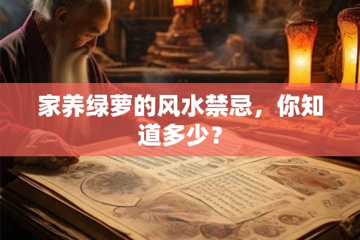 家养绿萝的风水禁忌，你知道多少？