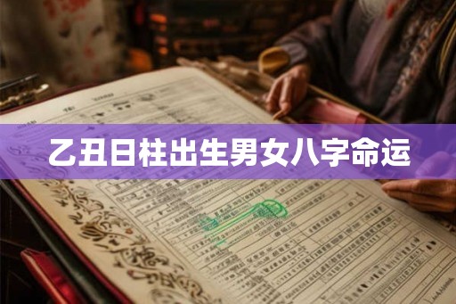 乙丑日柱出生男女八字命运