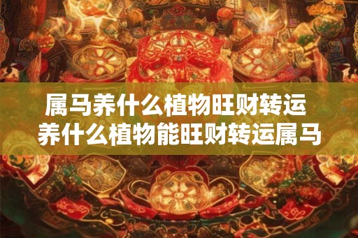 属马养什么植物旺财转运 养什么植物能旺财转运属马