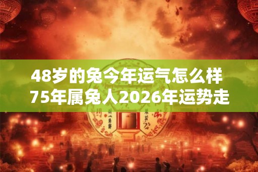 48岁的兔今年运气怎么样 75年属兔人2026年运势走向