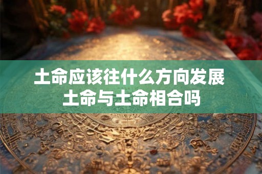 土命应该往什么方向发展 土命与土命相合吗