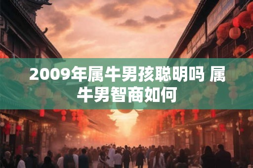 2009年属牛男孩聪明吗 属牛男智商如何 2009年属牛男孩聪明吗 属牛男智商如何