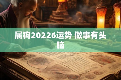 属狗20226运势 做事有头脑