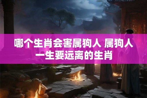 哪个生肖会害属狗人 属狗人一生要远离的生肖