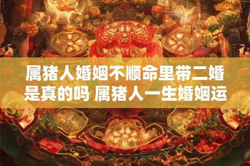 属猪人婚姻不顺命里带二婚是真的吗 属猪人一生婚姻运势