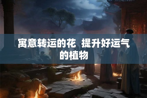 寓意转运的花 提升好运气的植物 寓意转运的花 提升好运气的植物