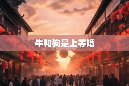 牛和狗是上等婚