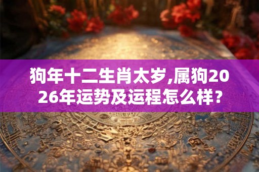 狗年十二生肖太岁,属狗2026年运势及运程怎么样？