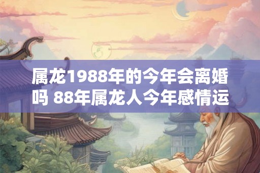属龙1988年的今年会离婚吗 88年属龙人今年感情运