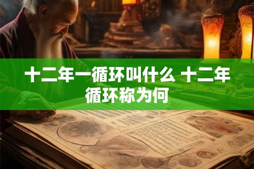 十二年一循环叫什么 十二年循环称为何