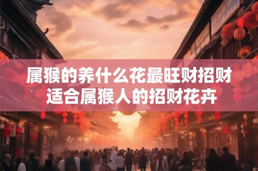属猴的养什么花最旺财招财 适合属猴人的招财花卉