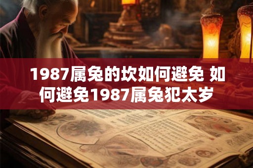 1987属兔的坎如何避免 如何避免1987属兔犯太岁
