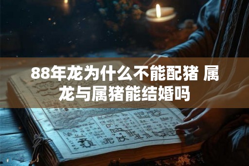 88年龙为什么不能配猪 属龙与属猪能结婚吗