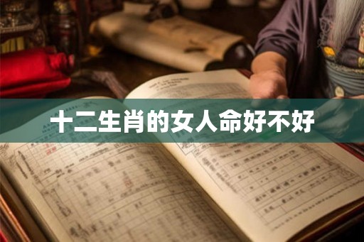十二生肖的女人命好不好