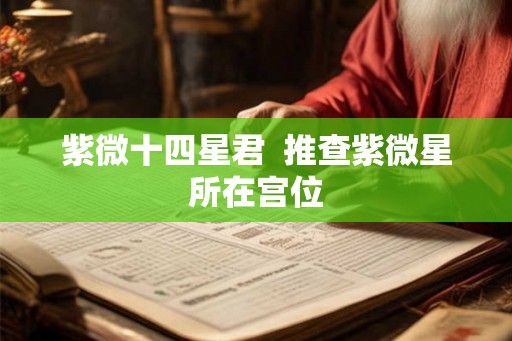 紫微十四星君  推查紫微星所在宫位
