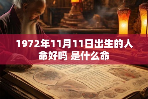 1972年11月11日出生的人命好吗 是什么命