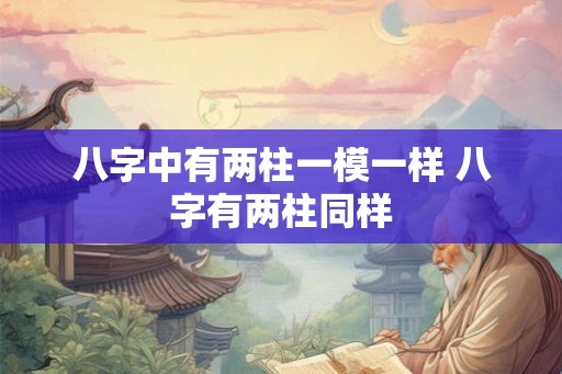 八字中有两柱一模一样 八字有两柱同样