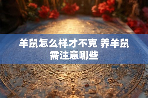 羊鼠怎么样才不克 养羊鼠需注意哪些