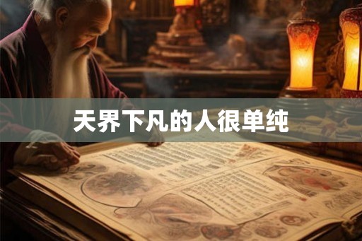 天界下凡的人很单纯