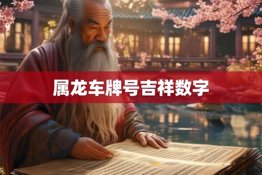 属龙车牌号吉祥数字
