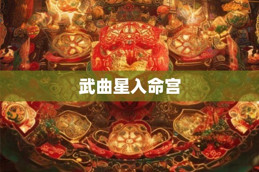 武曲星入命宫