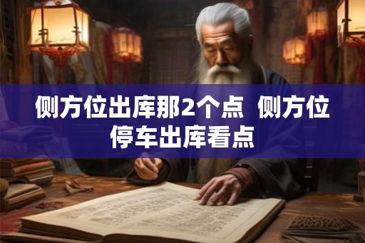 侧方位出库那2个点  侧方位停车出库看点