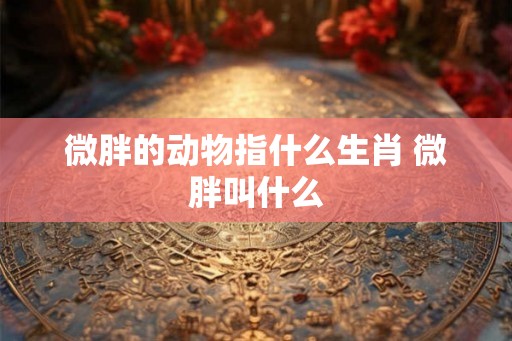 微胖的动物指什么生肖 微胖叫什么