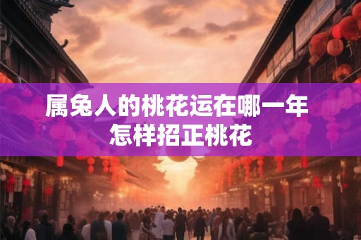 属兔人的桃花运在哪一年 怎样招正桃花 属兔人的桃花运在哪一年 怎样招正桃花