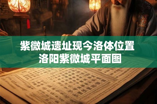 紫微城遗址现今洛体位置  洛阳紫微城平面图