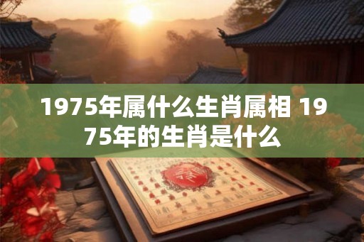 1975年属什么生肖属相 1975年的生肖是什么