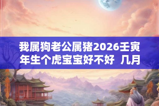我属狗老公属猪2026壬寅年生个虎宝宝好不好  几月份的虎宝宝有福气