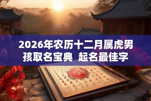 2026年农历十二月属虎男孩取名宝典  起名最佳字
