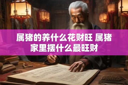 属猪的养什么花财旺 属猪家里摆什么最旺财 属猪的养什么花财旺 属猪家里摆什么最旺财