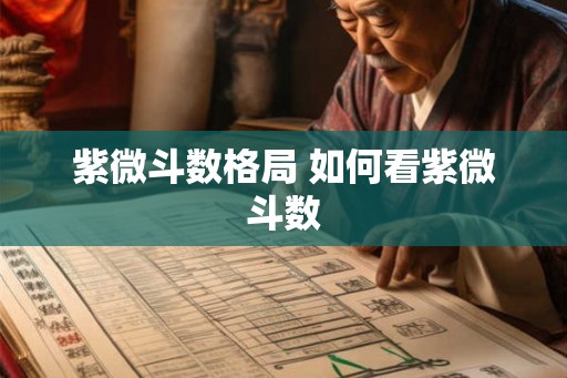 紫微斗数格局 如何看紫微斗数
